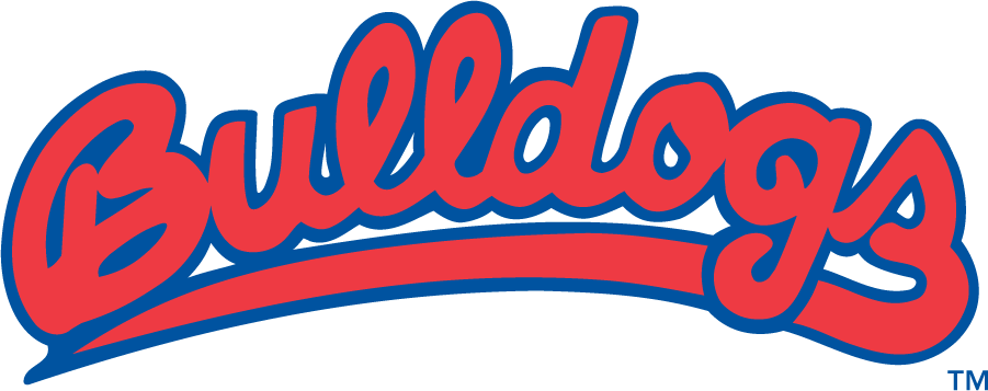 Fresno State Bulldogs 1982-2006 Wordmark Logo iron on transfers for clothing